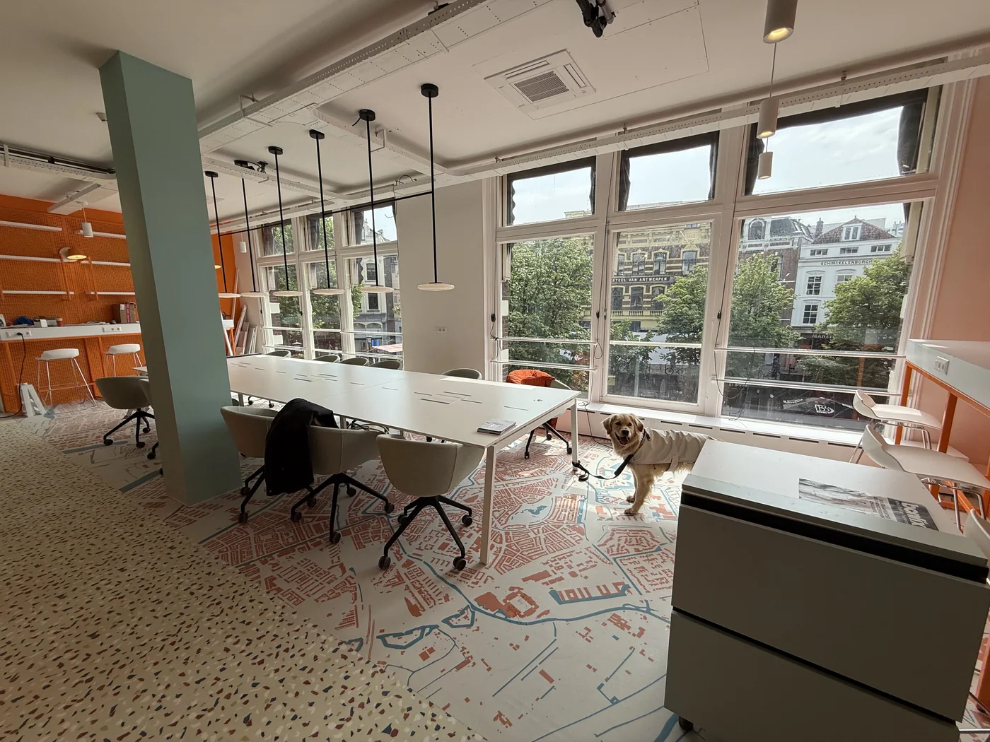 Dodo Labs office